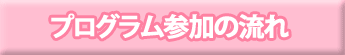プログラム参加の流れ